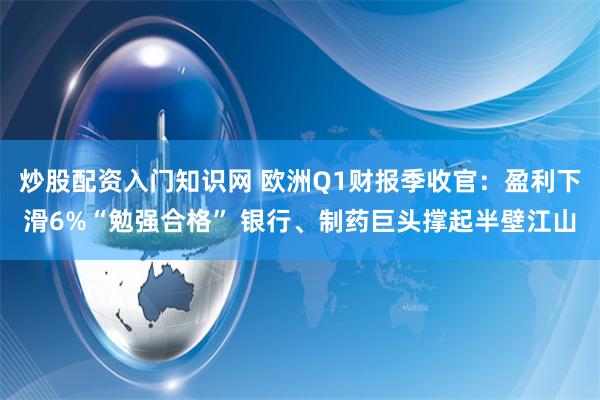 炒股配资入门知识网 欧洲Q1财报季收官：盈利下滑6%“勉强合格” 银行、制药巨头撑起半壁江山