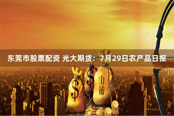 东莞市股票配资 光大期货：7月29日农产品日报