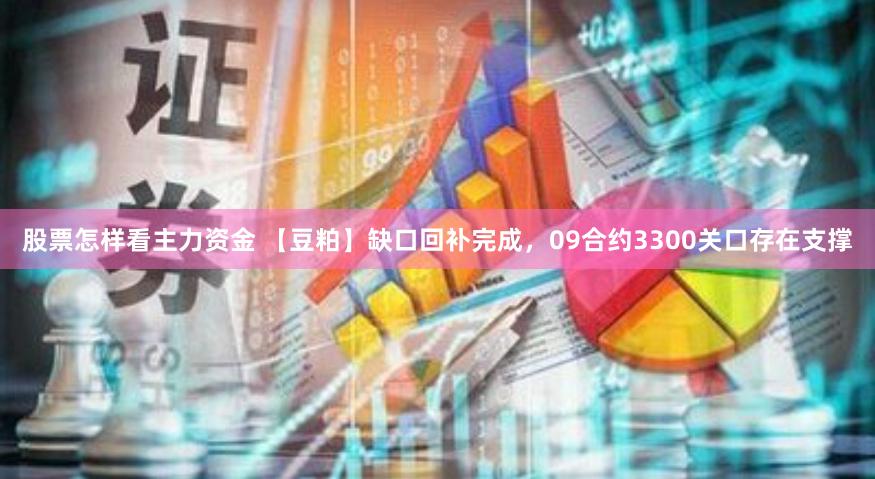 股票怎样看主力资金 【豆粕】缺口回补完成，09合约3300关口存在支撑